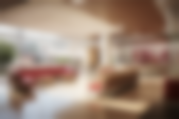 四川内江百龄京菊整形