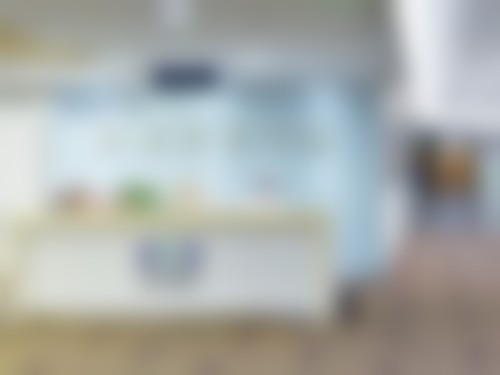 二、李奇志擅长项目