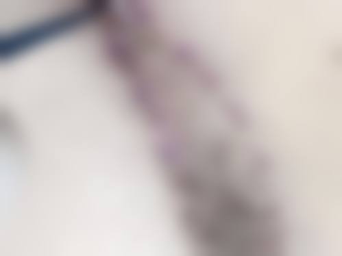 三、谢贻恒技术优势