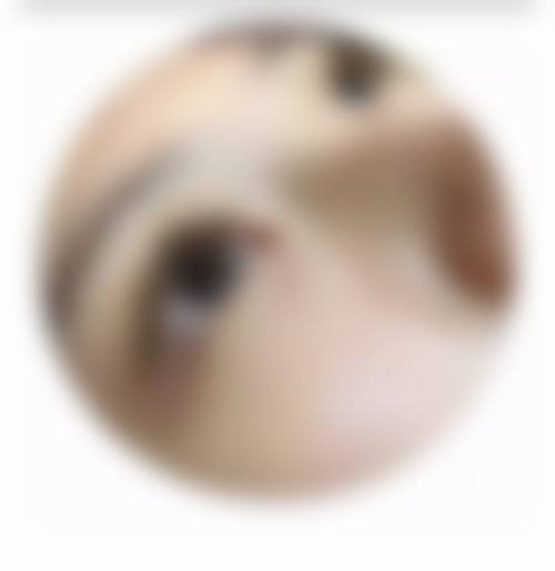 八、国内医 科 大学附属非常好医院整形外科真实的患者评价