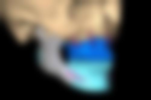 八、临汾完美齿科诊所预约方式