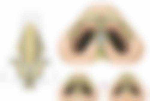 八、眉山璞龄羽熙整形医院真实的患者评价