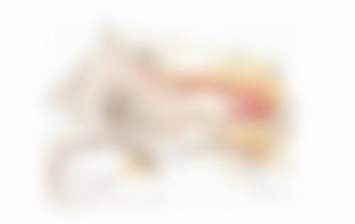 九、南通英莎医疗美容门诊部术后疤痕修复项目的预约方式