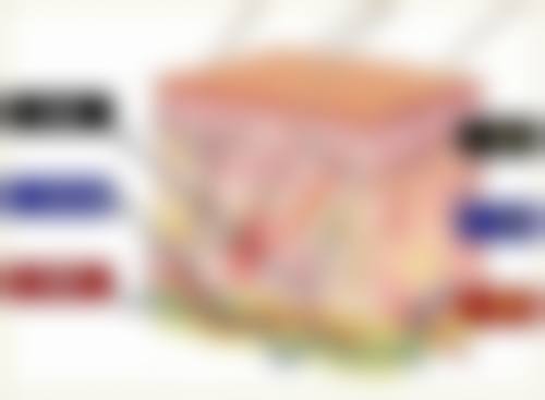 四、重庆蝶之星医疗美容门诊部特色项目