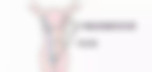 四、隆胸假体能在体内放置的美学提示