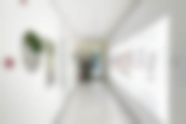 五、北京纯脂医疗美容门诊部医生介绍