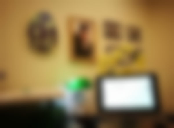 二、邹萍擅长项目