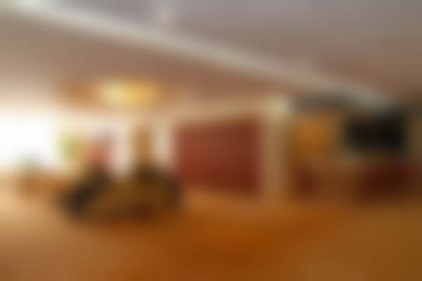 三、邹萍技术优势