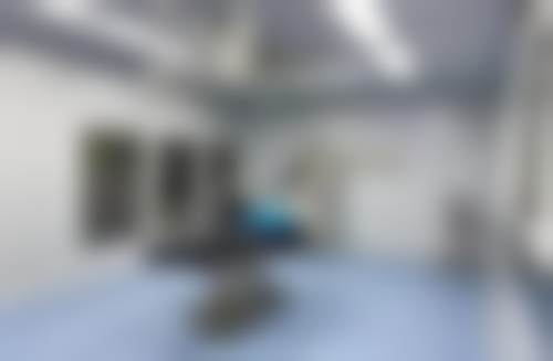 三、赖维技术优势