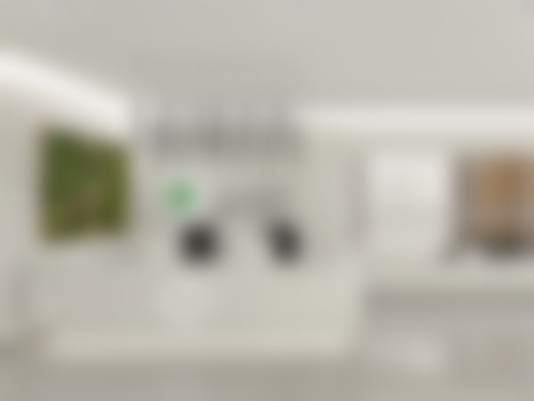 五、（田明礼）怎么预约？