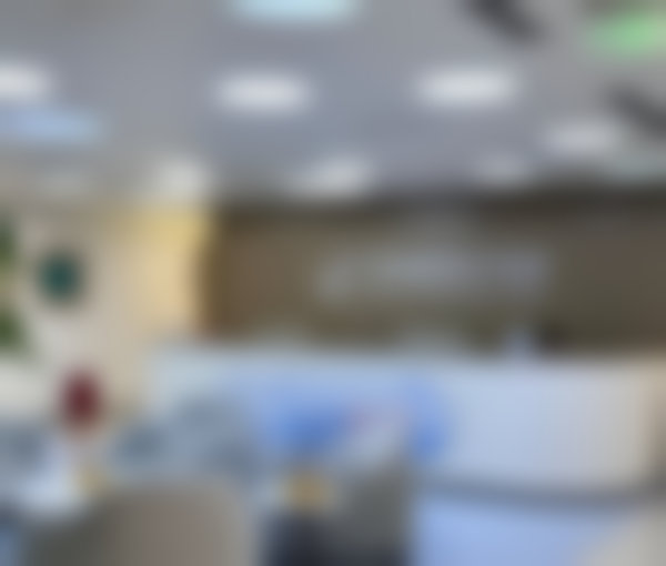 八、总结与建议