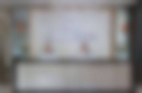 五、海口红妆尚医学美容医院医生介绍