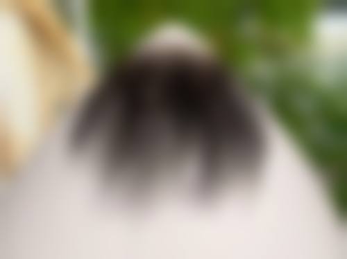 四、惠州伊生美整形医院特色项目