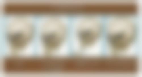 六、科学有效的去眼袋方法