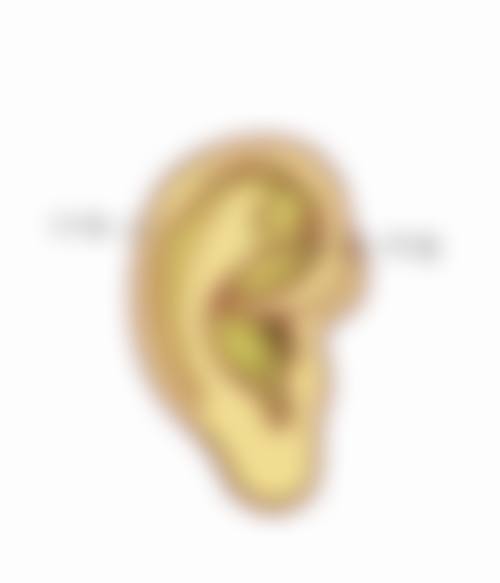 八、南通蝶美莎医疗美容医院预约流程