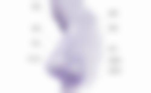 三、影响脸部抽脂修复时间的因素