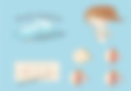 四、接睫毛的专精操作建议