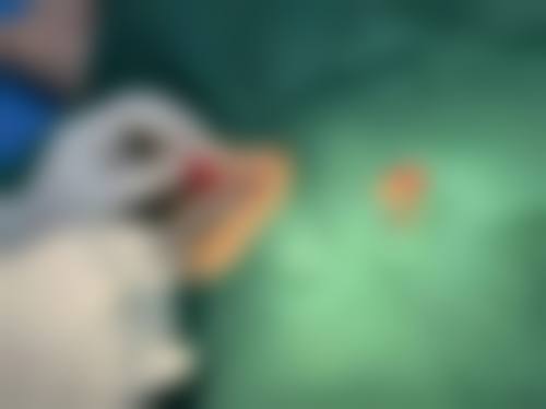 五、韩国丽宝韩方(利本韩)脊椎医院价格表