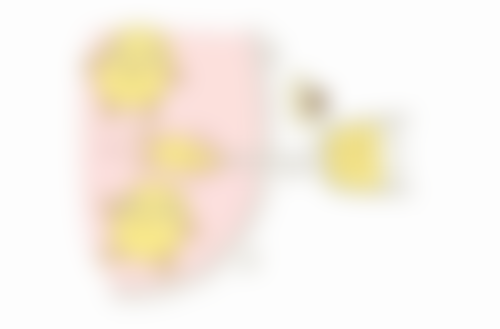 八、郑州伊莱美医疗美容预约方式