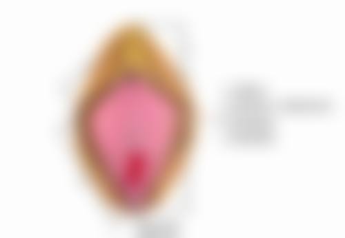 五、总结:吃对食物,远离疤痕增生