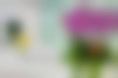 二、深圳香蜜丽格医疗美容诊所怎么样？