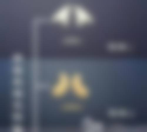 三、杭州同荣丽格整形医疗美容诊疗项目有哪些?