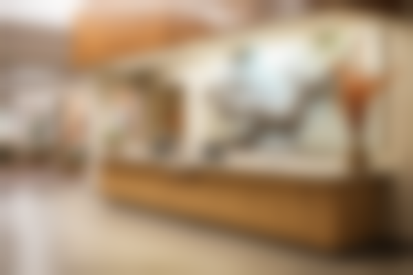 杭州加颜（原梵须伽颜）医疗美容诊所