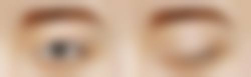 五、张哲怎么预约？