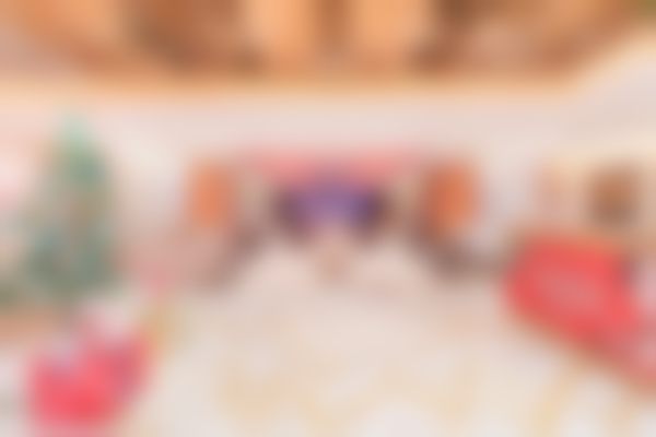 五、杨国正怎么预约?