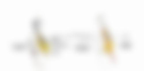 三、瘦脸针成效显现时间及维持时长