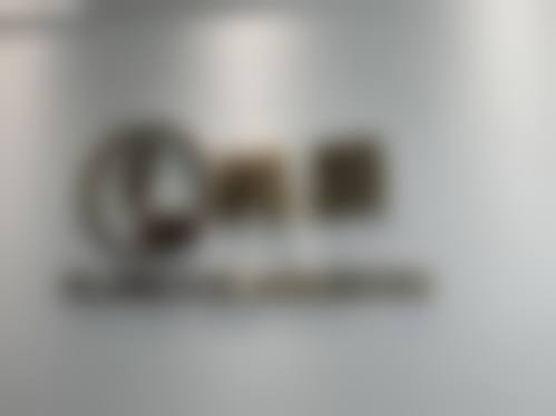 四、모우림의원特色项目