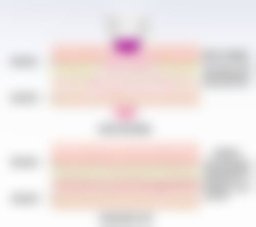 五、日本乳房再建医院价格表