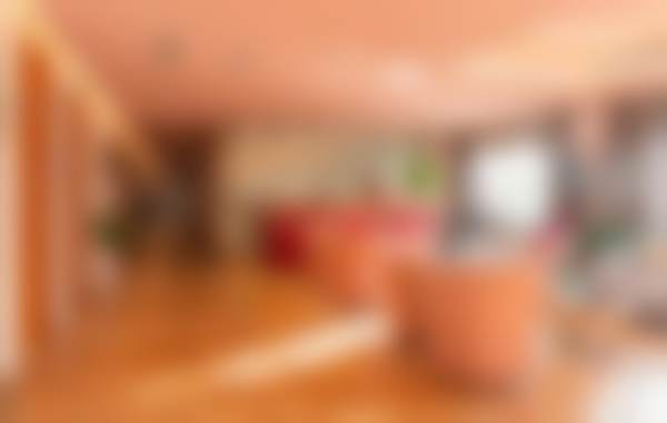 二、刘军擅长项目