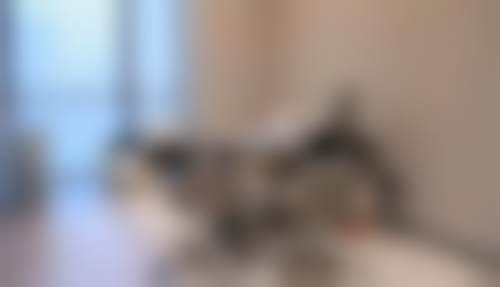 五、杭州玥相医疗美容门诊部价格表