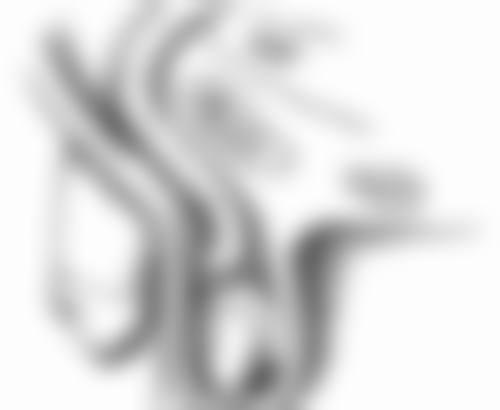 如何区分疤痕体质？从特征、表现、诊断方法多方面为你揭秘判断要点！ 