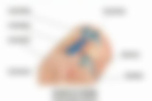 一只眼睛三眼皮一只眼睛双眼皮怎么办？多种改善方案助你拥有对称美眼