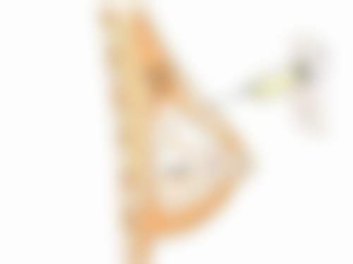 四、南昌市第一医院整形美容科特色项目