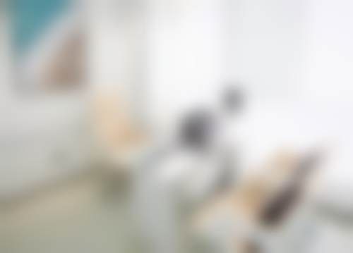 二、蔡国威擅长项目