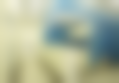 二、张建国擅长项目