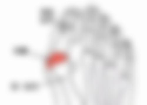 五、专精手术治疗