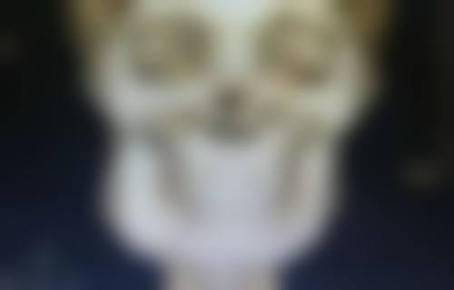 三、改善眼袋的医美项目