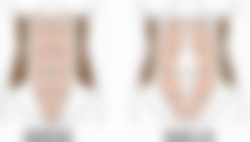 哪些蔬菜吸脂最好？西兰花、菠菜等5种蔬菜助你轻松辅助减脂！ 