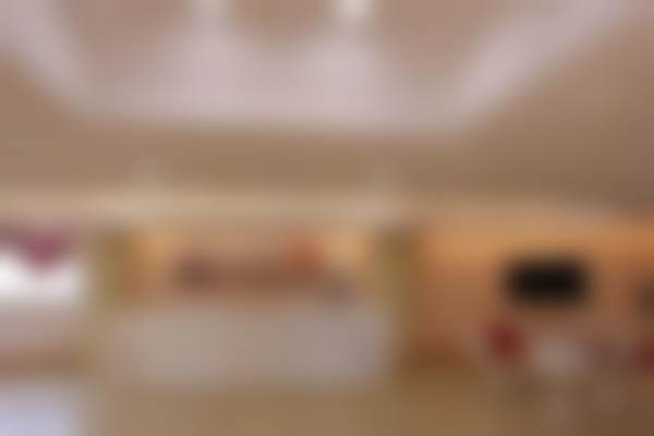 三、刘远秋技术优势