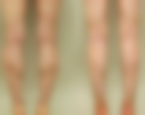 四、美学与风险提示