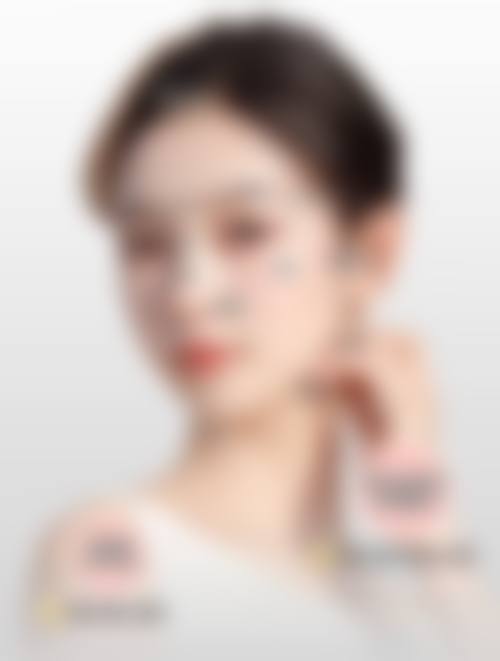 二、王贵贤擅长项目