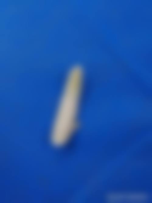 五、医療法人社団ABC芦屋美容皮肤科价格表