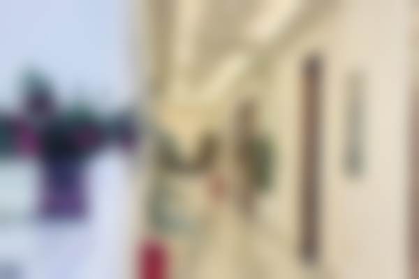 五、许津津怎么预约？