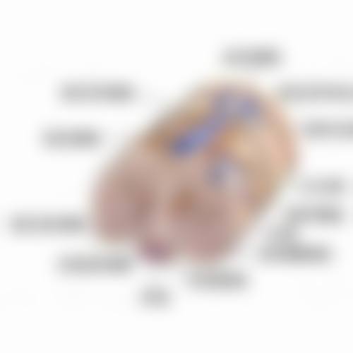 五、揭秘瘦脸针一次维持时长