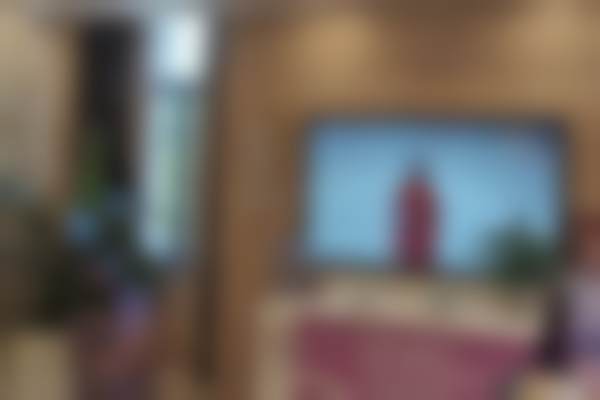 二、朱博擅长项目