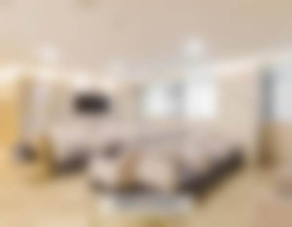 二、黄剑美擅长项目